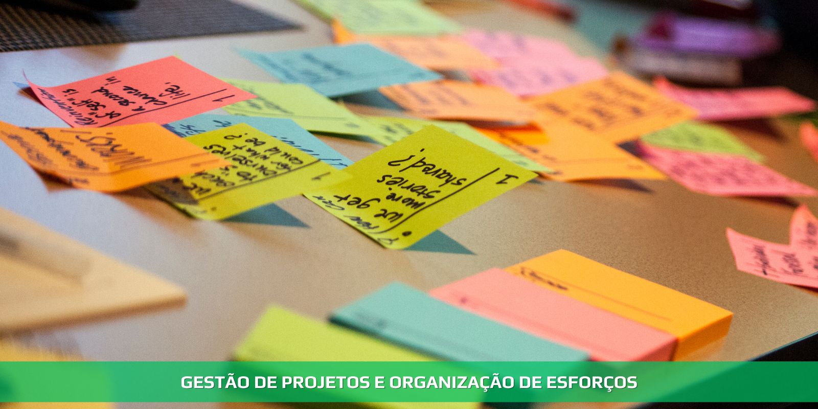 Figura 4 - GESTÃO DE PROJETOS PARA CONTADORES